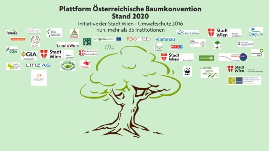 Plattform