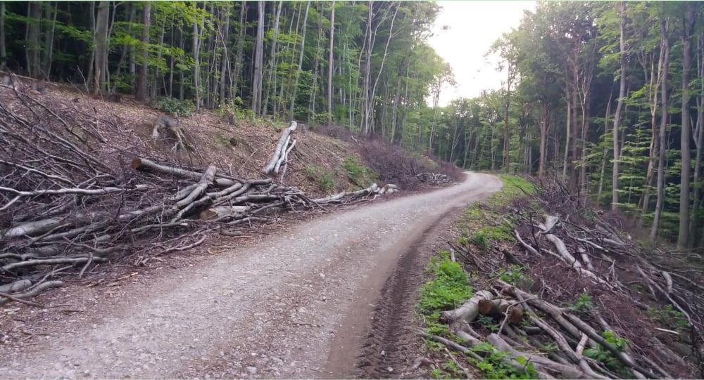 Wienerwald